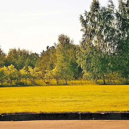 Hotel Airport Mara 3*