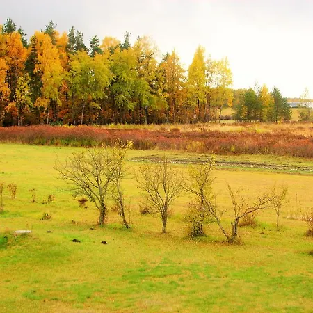 Готель Airport Mara 3*