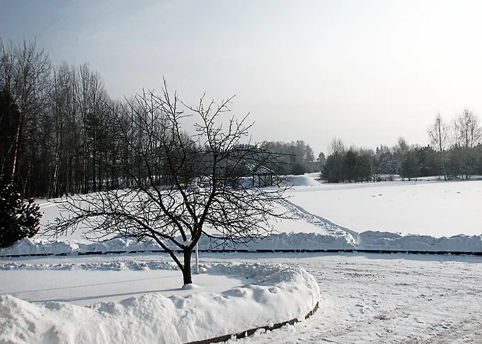 Airport Mara Hotel 3*