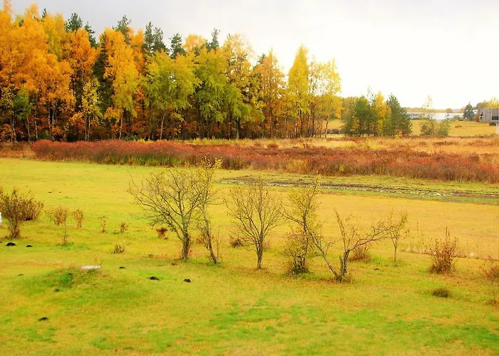 Hotel Airport Mara 3*